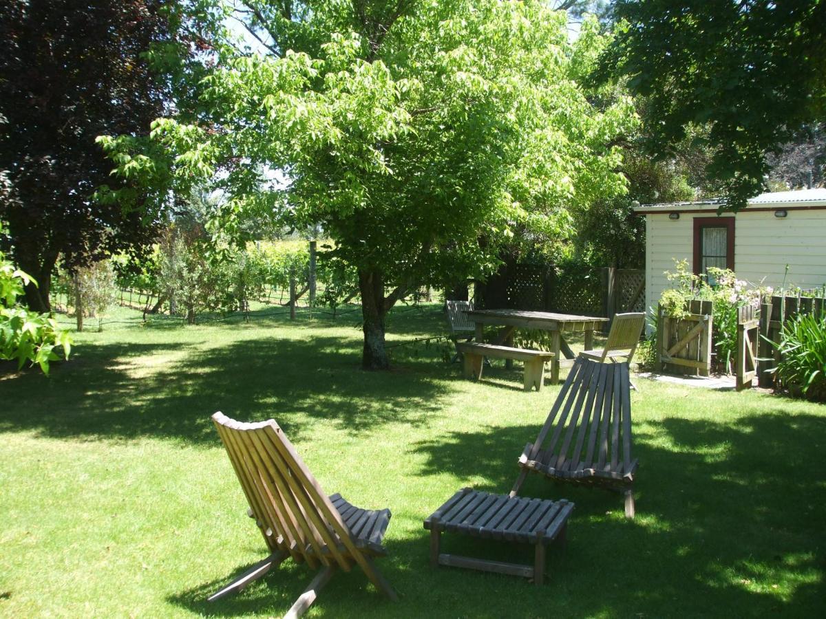Villa In The Vines Martinborough Bagian luar foto