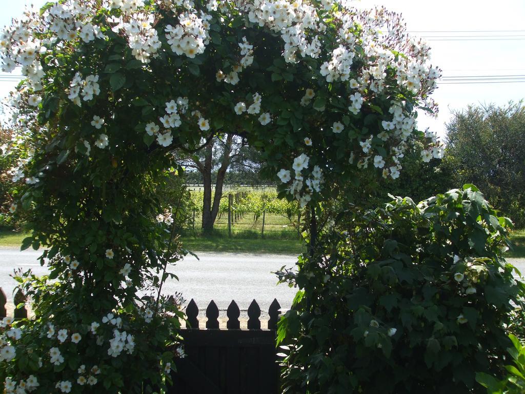 Villa In The Vines Martinborough Bagian luar foto