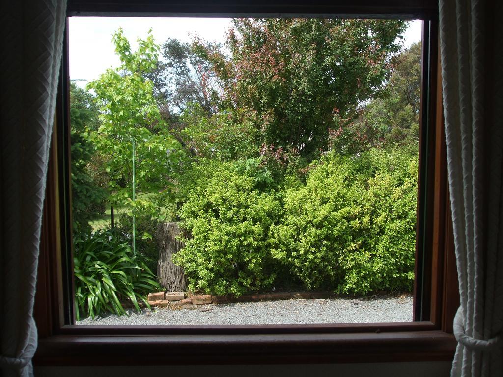 Villa In The Vines Martinborough Bagian luar foto