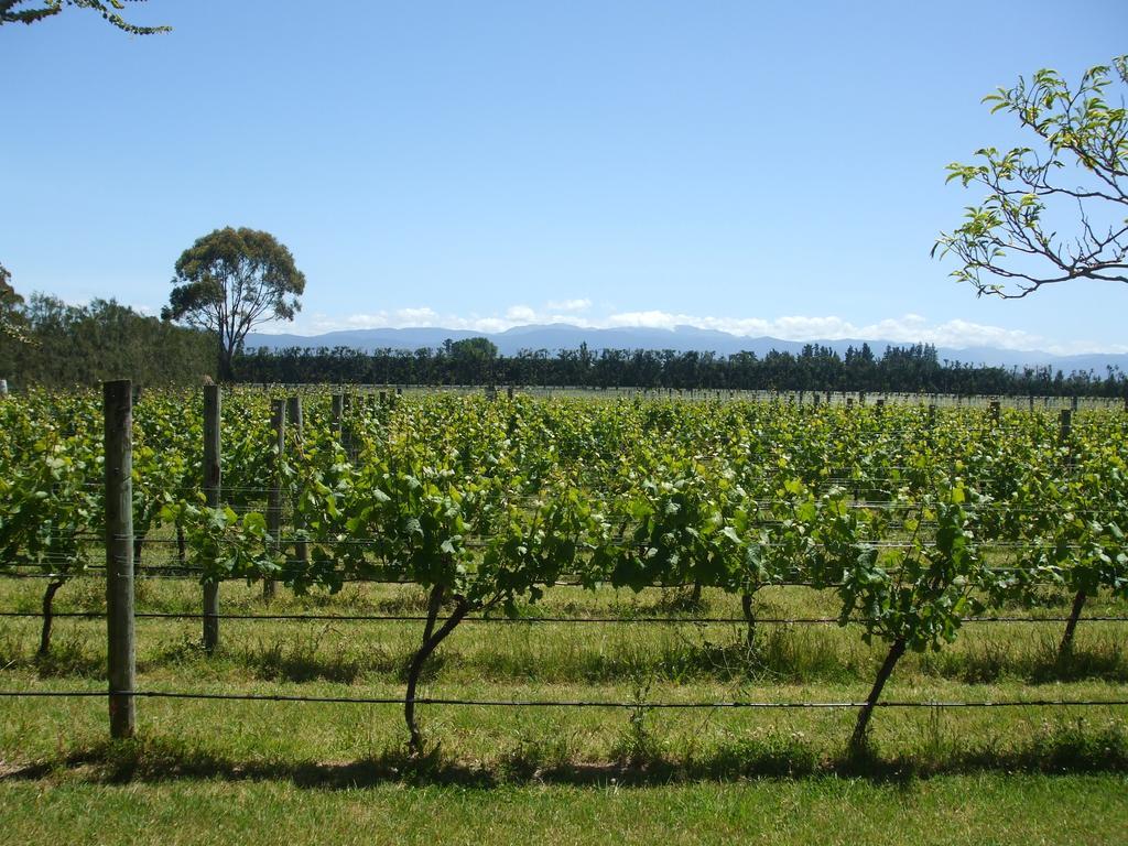 Villa In The Vines Martinborough Bagian luar foto